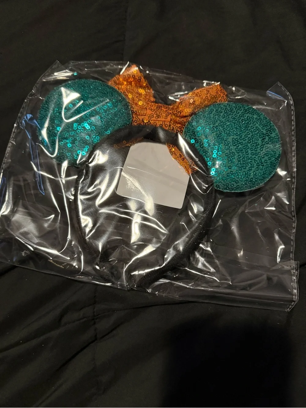 Merida Mickey Ears